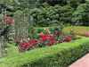 こども植物園