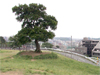 清水ヶ丘公園