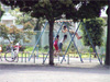 中村公園